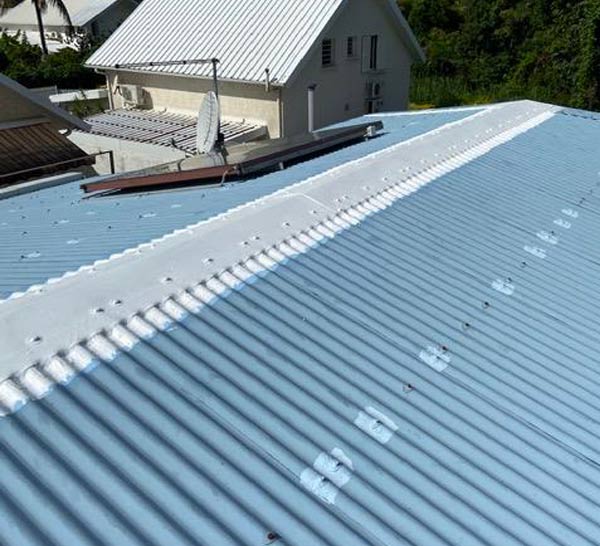 TRAVAUX TOITURE : Étanchéité Toiture Réunion 974 dans l'île de la réunion 974 : étanchéité, nettoyage, réparation chéneaux, peinture toit, traitement rouille, pose de gouttières et de couverture