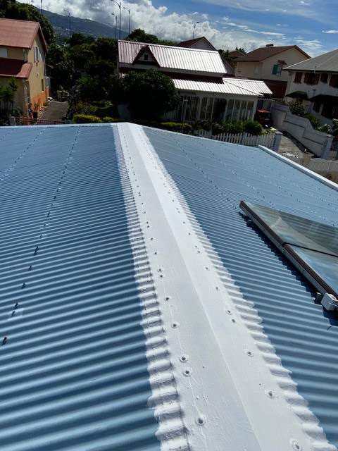 TRAVAUX TOITURE : Étanchéité Toiture Réunion 974 dans l'île de la réunion 974 : étanchéité, nettoyage, réparation chéneaux, peinture toit, traitement rouille, pose de gouttières et de couverture
