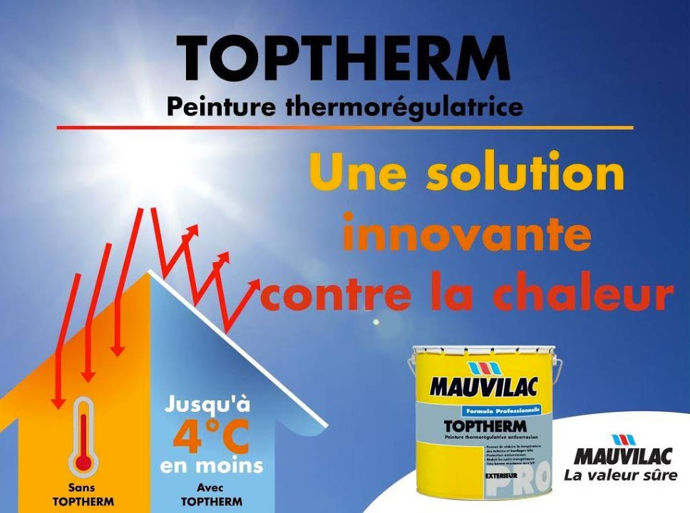 TRAVAUX TOITURE : Étanchéité Toiture Réunion 974 dans l'île de la réunion 974 : étanchéité, nettoyage, réparation chéneaux, peinture toit, traitement rouille, pose de gouttières et de couverture